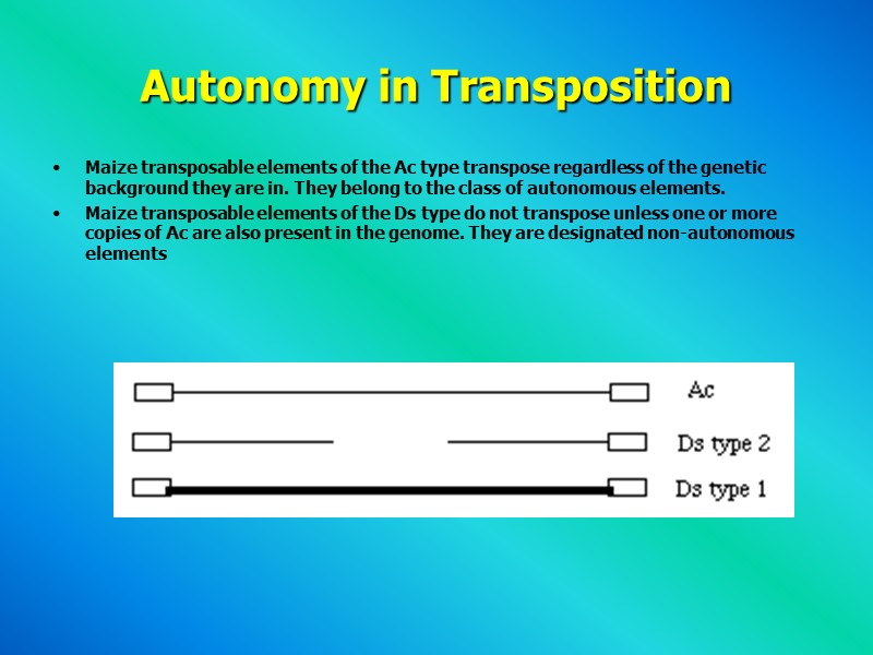 Autonomy in Transposition  Maize transposable elements of the Ac type transpose regardless of